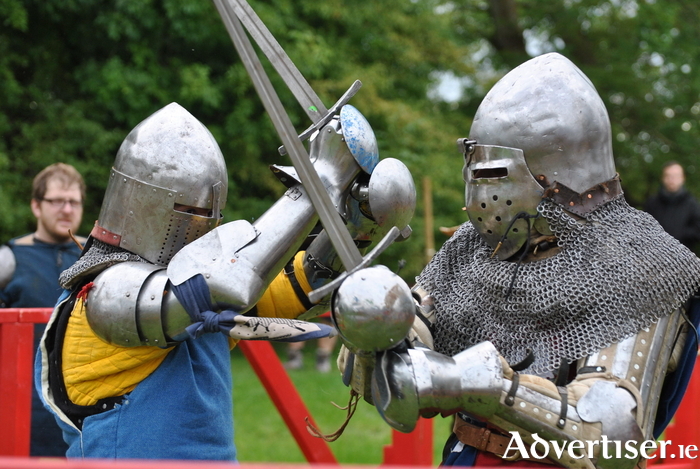 Advertiser.ie - MEDIEVAL TOURNAMENT MAKES A COMEBACK IN IRELAND!!