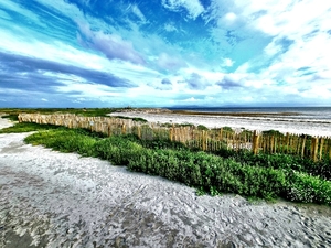 &#039;Love your Beach&#039; will kickstart National Biodiversity Week in Galway.