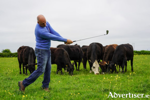 Swings and roundabouts - regenerating the farm and his game has given Eddie McCormack&#039;s career a new lease of life.