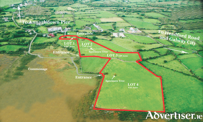 14 acres of land in Annaghdown.