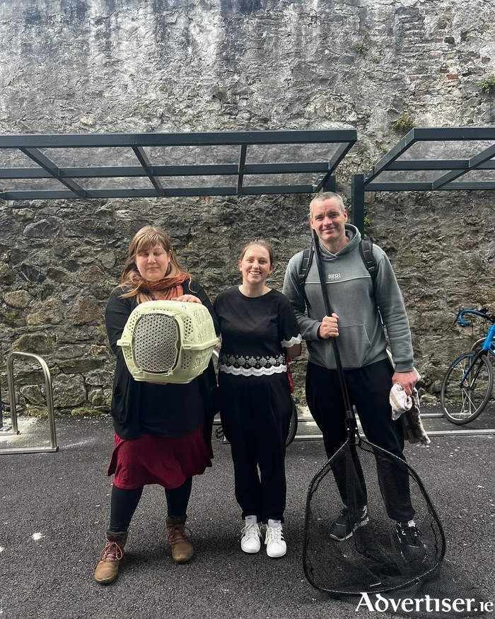 Galway & Claddagh Swan Rescue is a fantastic volunteer organisation dedicated to rescuing and rehabilitating wild birds from Galway, licensed by the National Parks and Wildlife Service.