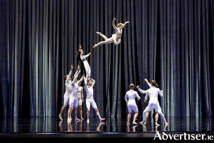 Duck Pond by Circa is a reimaging of Swan Lake. It runs from July 19 to 24 at the Festival Theatre in University of Galway's Kingfisher Club