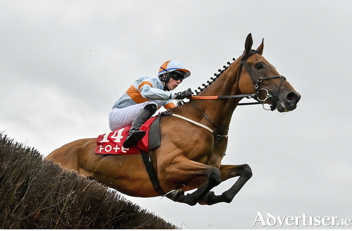 Ash Tree Meadow, with Danny Gilligan up, jumps the eighth on their way to winning the Tote Galway Plate last year. Photo by Seb Daly/Sportsfile