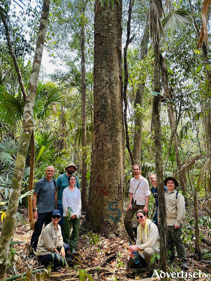 Students of ATU Connemara pictured earlier this month during a visit to the Uaxactún Community Forest in Guatemala as part of their participation in the Cities4Forests Partner Forest Programme. The 'S' on the tree is for 'Save' as these trees were the most valuable in the forest and acted as super-seeders to seed future growth and replenishment in the forest hence, they are NOT cut and saved for the benefit of the forest's future. Photo by ATU/C4F.
