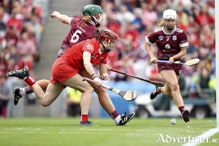 The controversial goal involving Cork's Katrina Mackey. Despite her best efforts, she was unable to hit the 
sliotar with her hurley and so her thrown effort crossed the line and was awarded. 