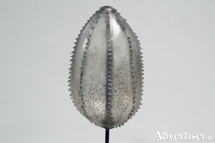 Glass model of a comb-jelly (Beroë punctata) by Leopold and Rudolf Blaschka, circa 1880. [Courtesy of the Zoology and Marine Biology Museum, University of Galway]