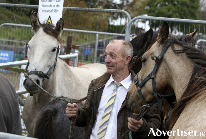 Stephen Delark from Shanagoleen, Co. Limerick selling the stock at the Ballinasloe horse faire.
Photograph: Hany Marzouk