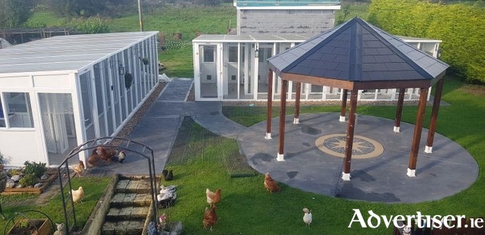 The Snuggle Inn Cattery in Moylough, Ballinasloe, Co Galway 