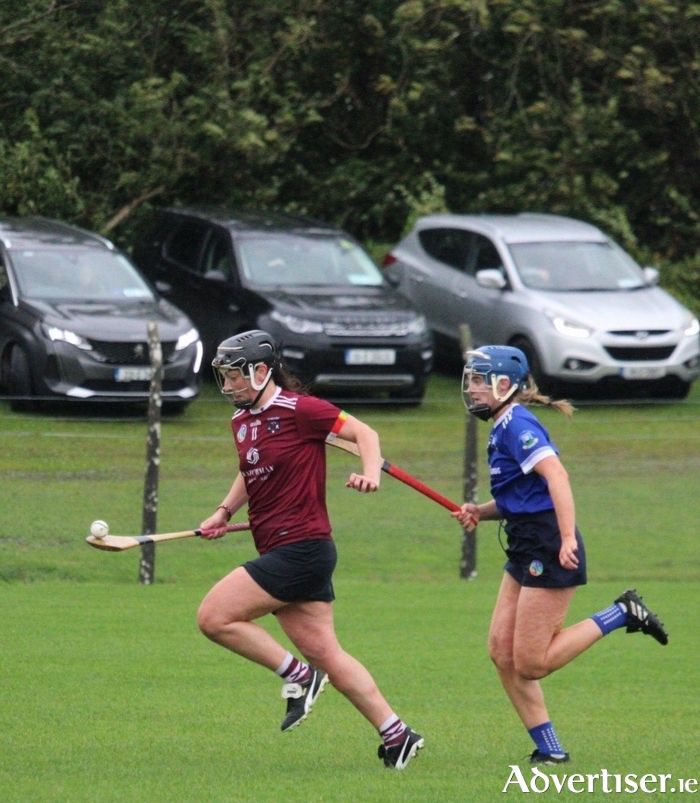 Jessica Gill and Denise Diviney in action. Photo: Cathy Dillion