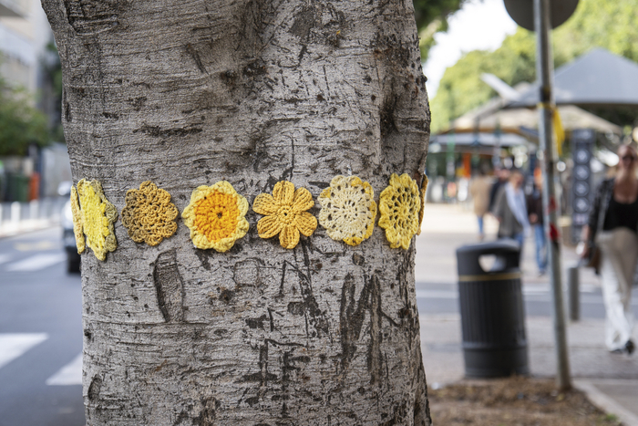 Knitted woolen flowers on a tree trunk in Tel Aviv as reminder of the hostages kidnapped by Hamas on October 7, 2023.