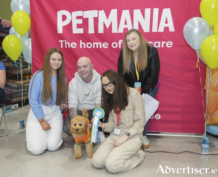 Galway pup makes final in Petmania’s Dog of the Year