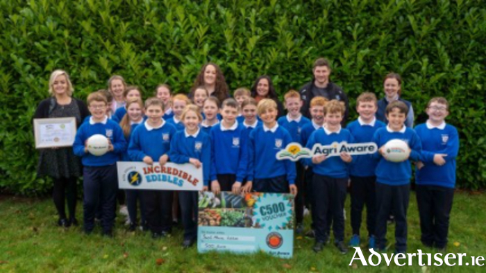 Last year’s winners of Agri Aware's Incredible Edibles programme received a €500 Quickcrop voucher.
