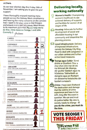 Gr&aacute;inne Seoige&#039;s mock ballot omits an option for Catherine Connolly TD