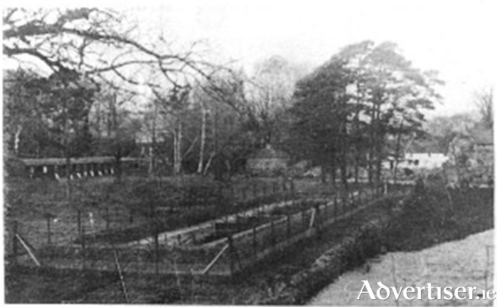 The Owenriff trout hatchery in Oughterard in 1908