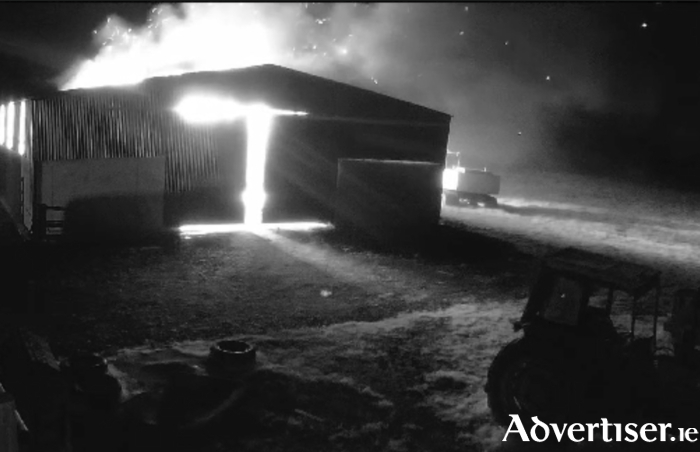 Scenes from the New Year's Eve arson attack which resulted in the death of one pony, injured one of the farm's stallion and led to the hospitalisation of one of the family. 