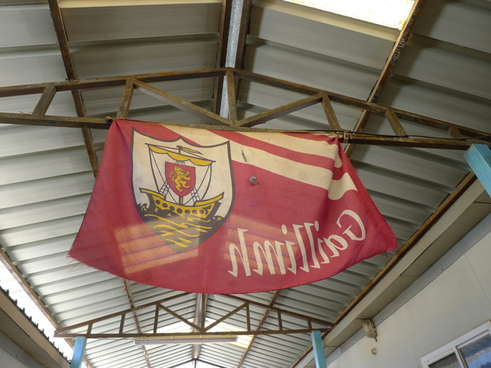 Camp Shamrock&#039;s current unofficial standard (Photo: Maxim Kelly )