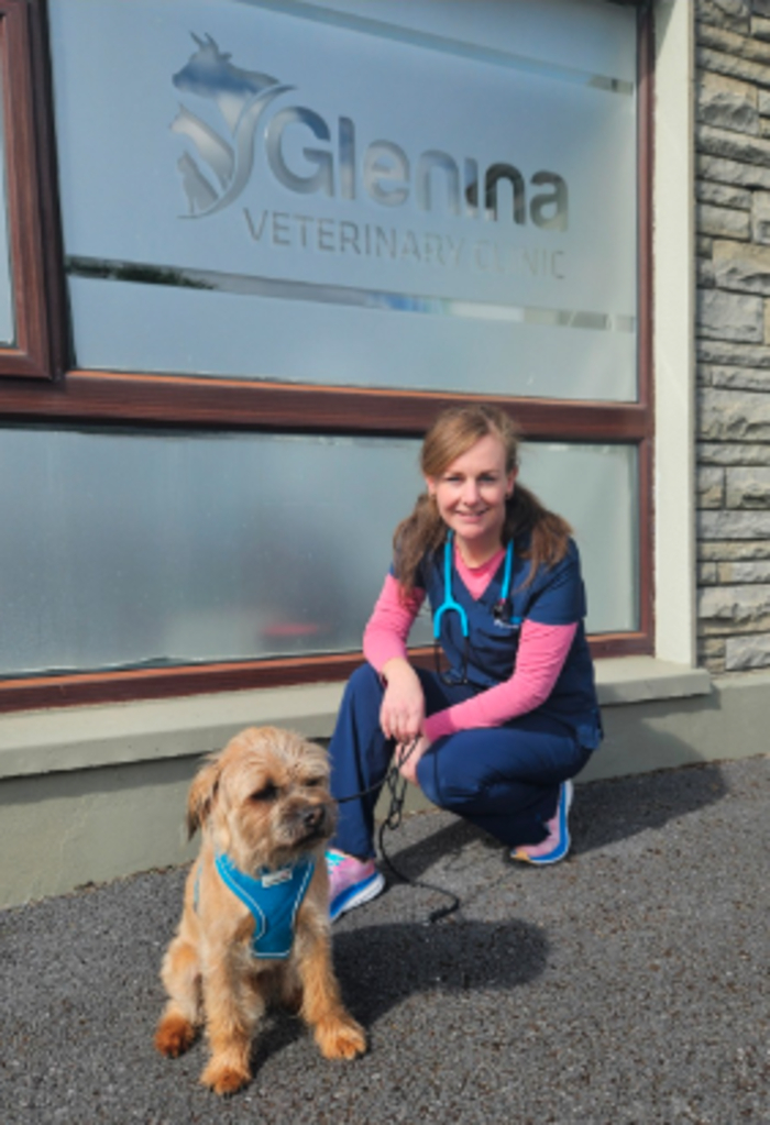 Glenina Vet&#039;s small animal clinical director, R&oacute;nad Stanley with Kirby.